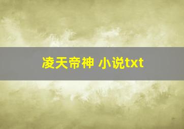 凌天帝神 小说txt